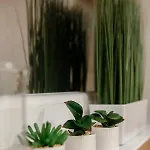 Akacfa Apartament